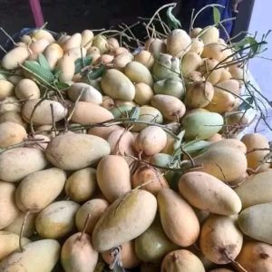 সুইট কাঠি মন 12 কেজি 1600 টাকা